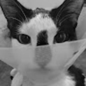 Meet your Posher, Rourke